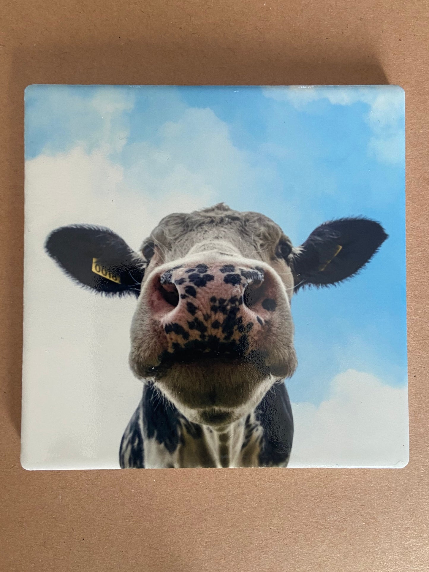 Cow Nose Mug & Coaster Set