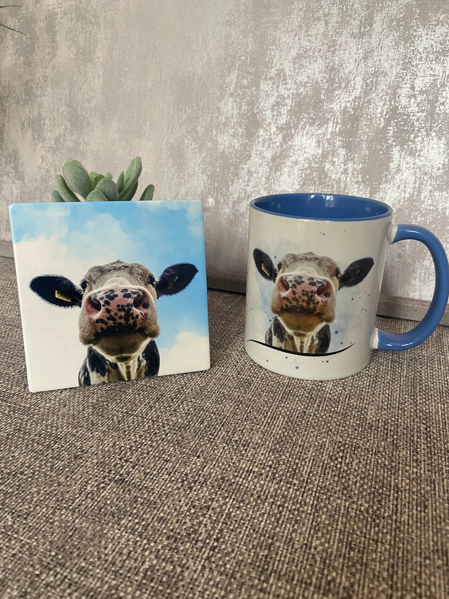 Cow Nose Mug & Coaster Set