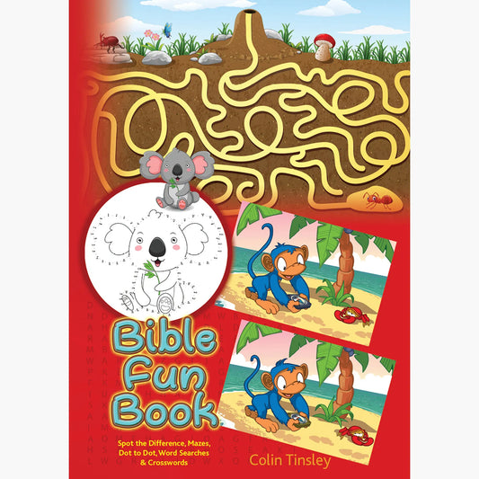 Bible Fun Activity Book - Author Colin Tinsley