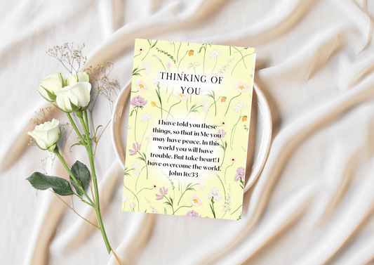 Thinking of You - In Me You May Have Peace John 16:33