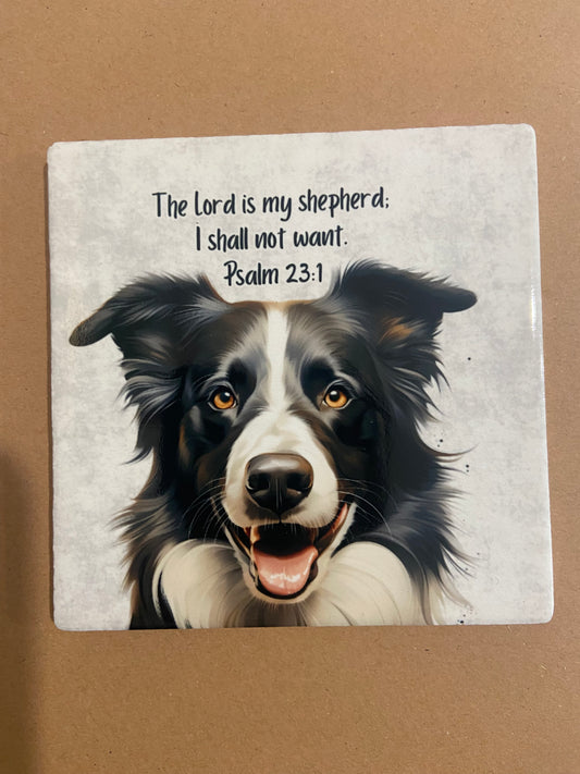 The Lord Is My Shepherd I Shall Not Want Psalm 23:1 Single Coaster