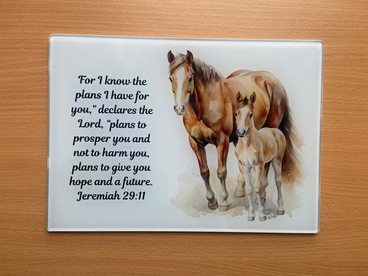 Medium Rectange Chopping Boards - 20x27.5cm Heat Resistant -For I Know the Plans Jeremiah 29:11